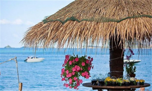 泰国苏梅岛蜜月的天堂6.jpg
