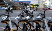 共享单车已引入泰国曼谷 曼谷交通拥堵现状有望改善