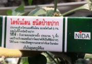 泰国NIDA口腔溃疡膏只需涂2到3次就会痊愈