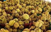 2017泰国榴莲忘返水果自助盛宴中国游客一天吃掉2吨榴莲！