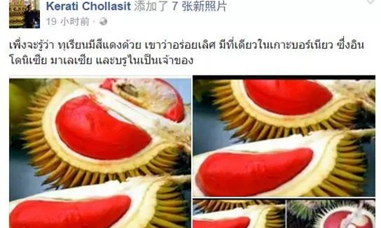 泰国红肉榴莲你吃过吗？3.jpg