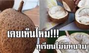 没有刺的泰国榴莲，你见过吗！！！