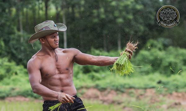  泰国“最强农民”播求回乡插秧爆红网络