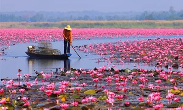  冬季泰国旅游最美观赏胜地——乌隆府红莲湖