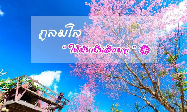 看过来！1月泰国旅游必去景点在这里2.jpg