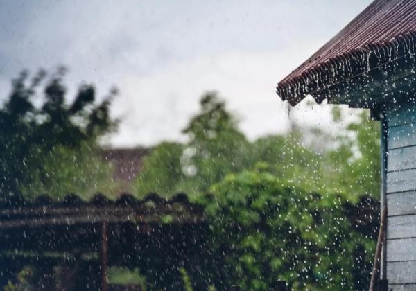 泰国大部分地区暴雨仍在继续