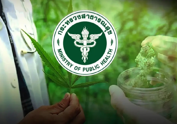 泰国计划重新将大麻归类为“软毒品”