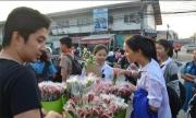 泰国花店买玫瑰花送避孕套？