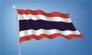 泰国买房，泰国国旗别再认错啦！
