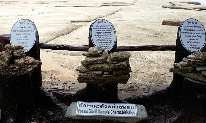 泰国罕观奇观贝壳公墓fossilshellbeach