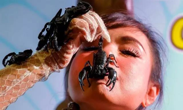 meet&greet ripleys ambassador"活动,泰国蝎子女王坎茶娜(kanjana