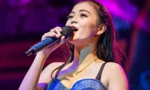 泰国性感女歌手“龙眼”愿代言龙眼，助果农挽回损失4.jpg