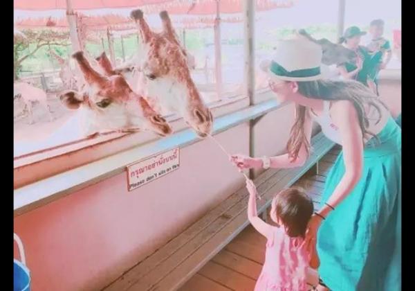 昆凌带女儿游泰国 两人超有爱互动喂食长颈鹿