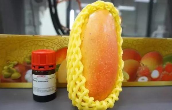 泰国纳黎宣大学披拉萨助理教授研发出了抗癌芒果