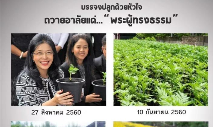 国丧期间，泰国女政客满脸笑容上街巡游引民愤1.jpg