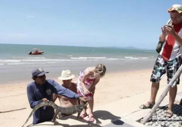 泰国芭提雅中天海滩惊现鳄鱼吓坏游客？然而事实是这样的.....