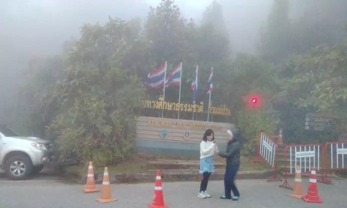 泰国清迈因他农山仅有6℃，众多游客慕名纷至感受冬天美景！4.jpg