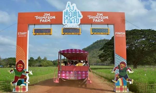 强推泰国最美农场——金汤普森，一年只开放一个月！10.jpg