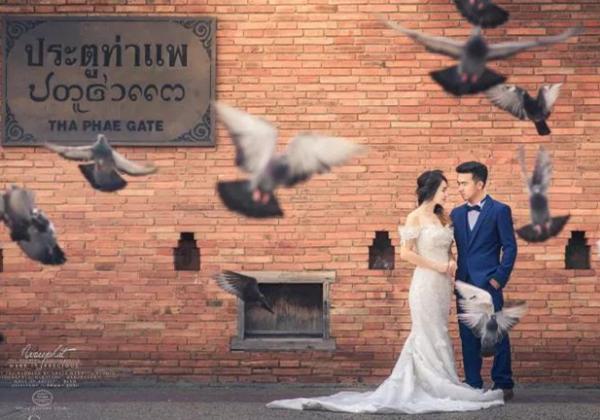 中国游客在泰国清迈的塔佩门亲吻拍婚纱照遭非议，到底是谁的错？