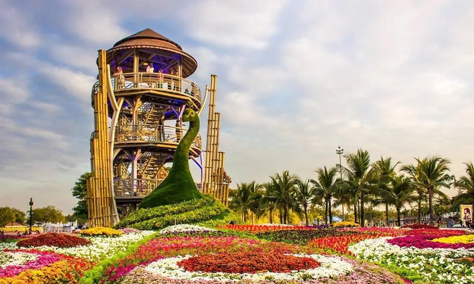 泰国孔敬府第五届“国际神奇植物节”隆重开幕，外籍游客纷至沓来4.jpg