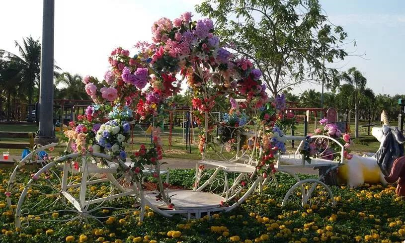 泰国孔敬府第五届“国际神奇植物节”隆重开幕，外籍游客纷至沓来6.jpg