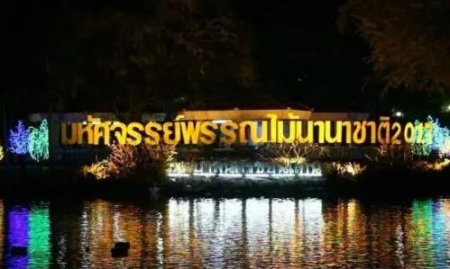 泰国孔敬府第五届“国际神奇植物节”隆重开幕，外籍游客纷至沓来3.jpg