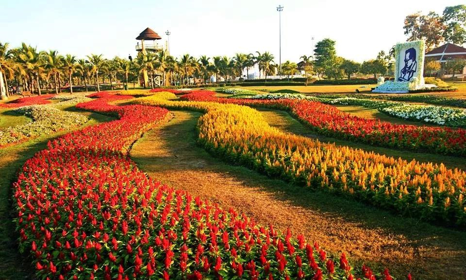 泰国孔敬府第五届“国际神奇植物节”隆重开幕，外籍游客纷至沓来5.jpg