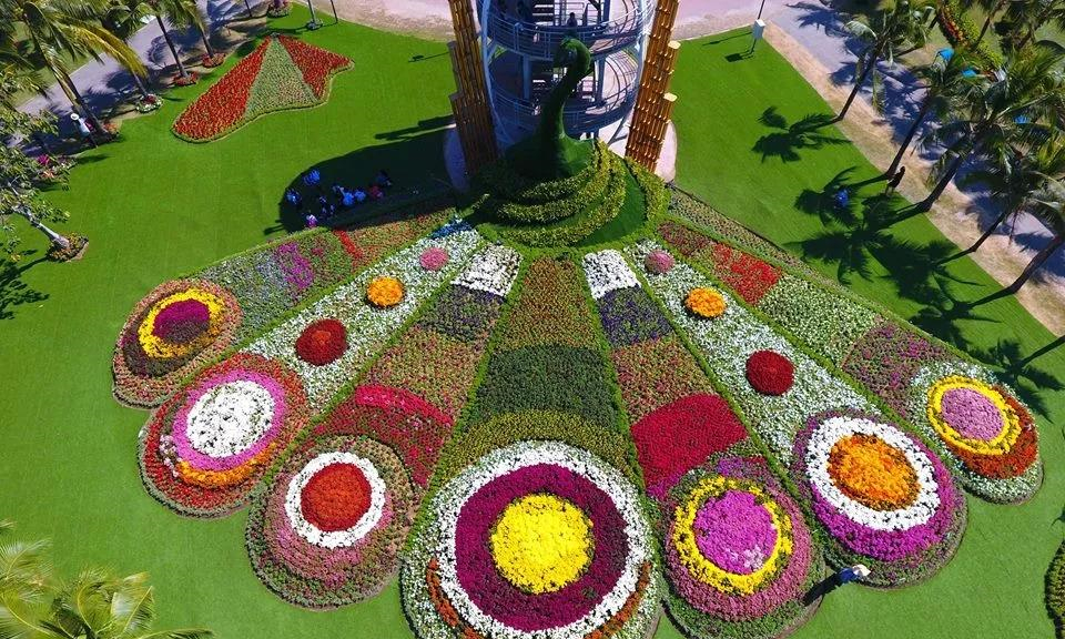 泰国孔敬府第五届“国际神奇植物节”隆重开幕，外籍游客纷至沓来.jpg