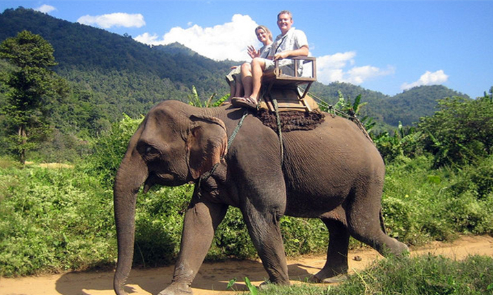 泰国大象旅游业背后的残酷真相1.jpg