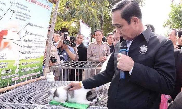 只因送了2只小狗，泰国总理巴育被调查2.jpg