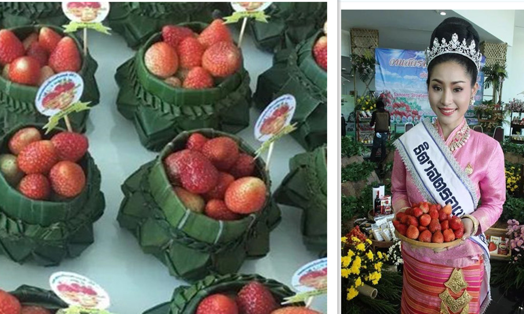 2月9-11日泰国清迈“草莓节”，我们在这里等你2.jpg