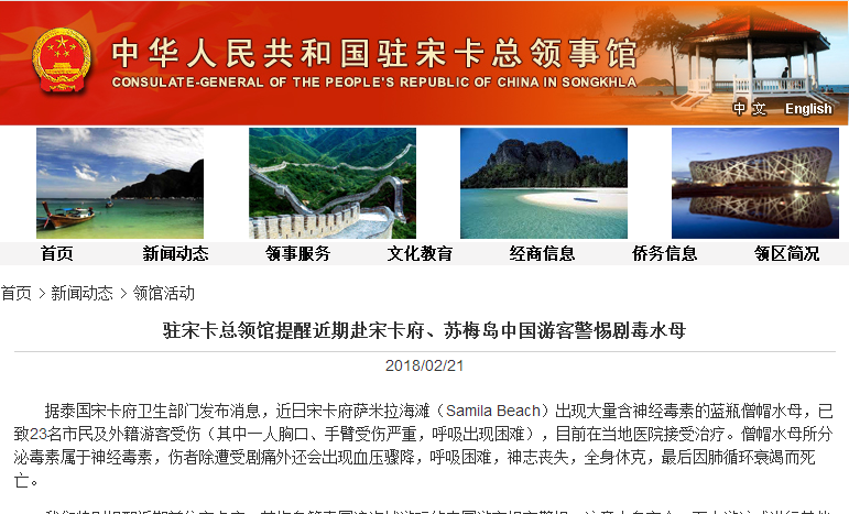 毒水母已致23人受伤，中国驻泰国宋卡领馆发布特别提醒！1.png