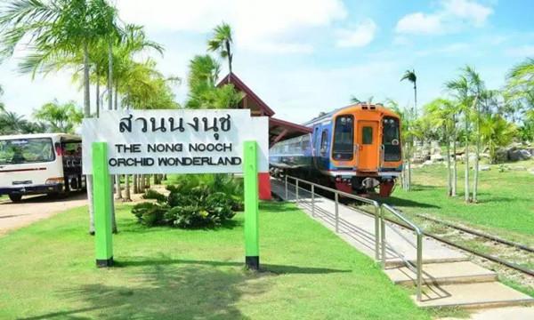 奔走相告！3月17日泰国曼谷-芭提雅观光火车开通