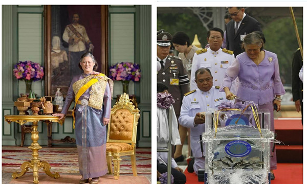 泰国诗琳通公主63岁华诞，放生59万条鱼做功德.jpg