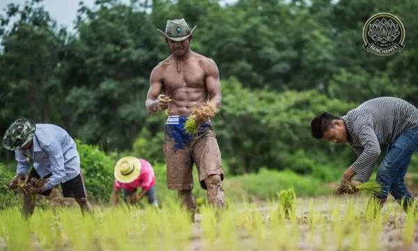 泰国“最强农民”播求回乡插秧爆红网络15.jpg