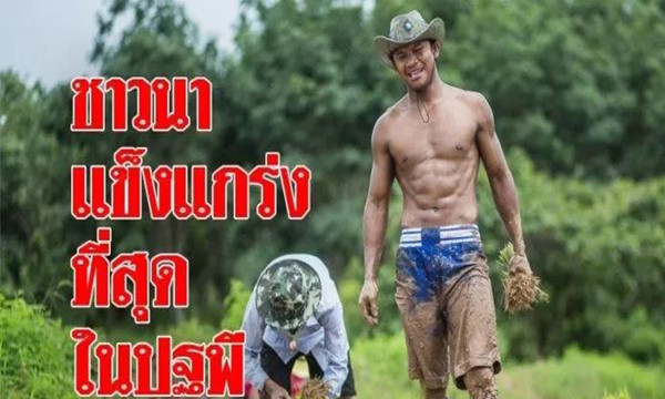 泰国“最强农民”播求回乡插秧爆红网络5.jpg