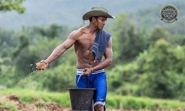 泰国“最强农民”播求回乡插秧爆红网络7.jpg