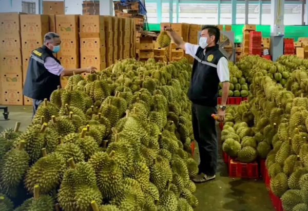 泰国开辟新贸易渠道以缓解水果供过于求危机