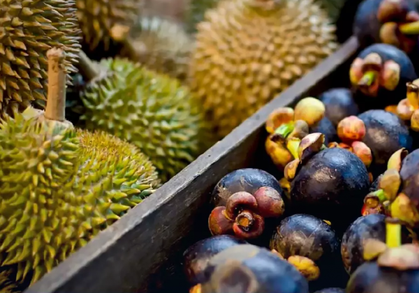2022年中国近三分之一的水果进口来自泰国