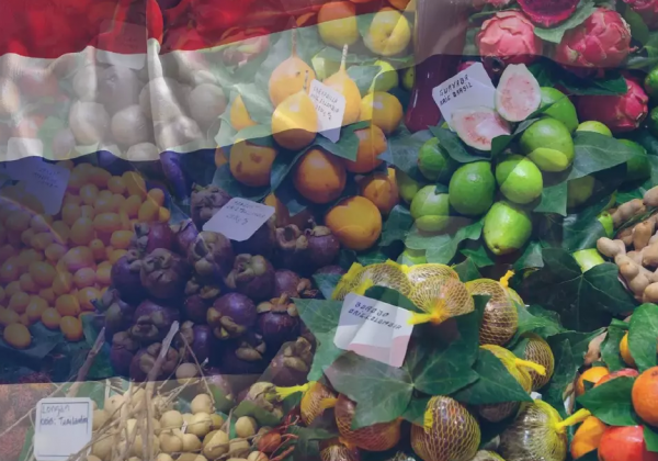 泰国水果在中国市场中占据了较大份额