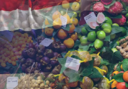 泰国水果在中国市场中占据了较大份额