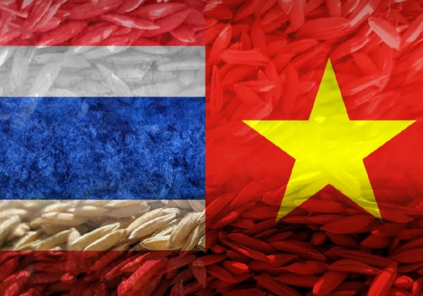 泰国和越南正在争夺第二大米出口国排名