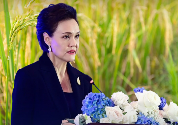 泰国和中国政府达成4万吨政府间大米协议